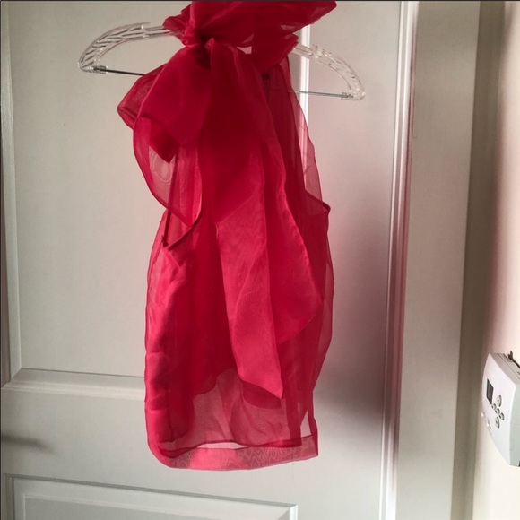 NWT Zara Organza top blogger favorite in pink - Picture 8 of 8